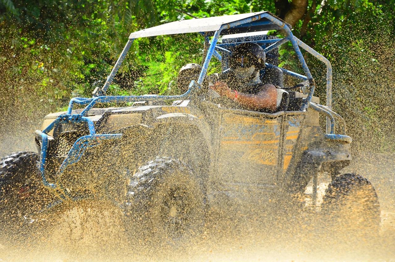 BUGGY PREDATOR
